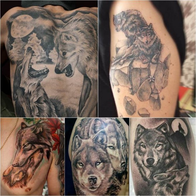 Tattoo Wolf - Subtlety of Tattoo with Wolf - Tattoo Wolf and She-wolf