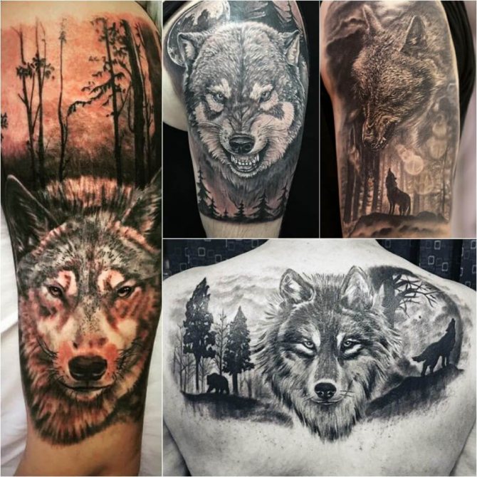 Tattoo wolf - Subtlety of wolf tattoo - Tattoo wolf in the woods