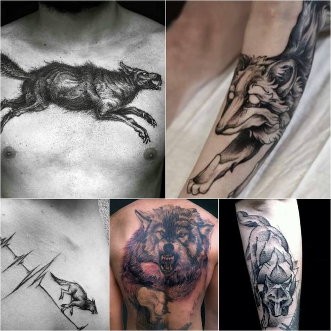Tattoo wolf - Subtlety of wolf tattoo - Tattoo wolf in the jump - Running wolf tattoo