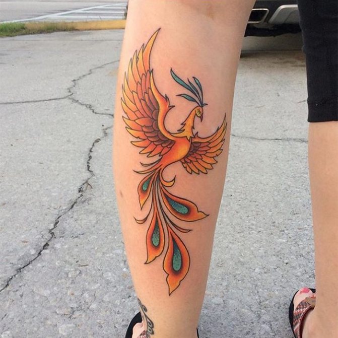 Firebird male tattoo on legs flying