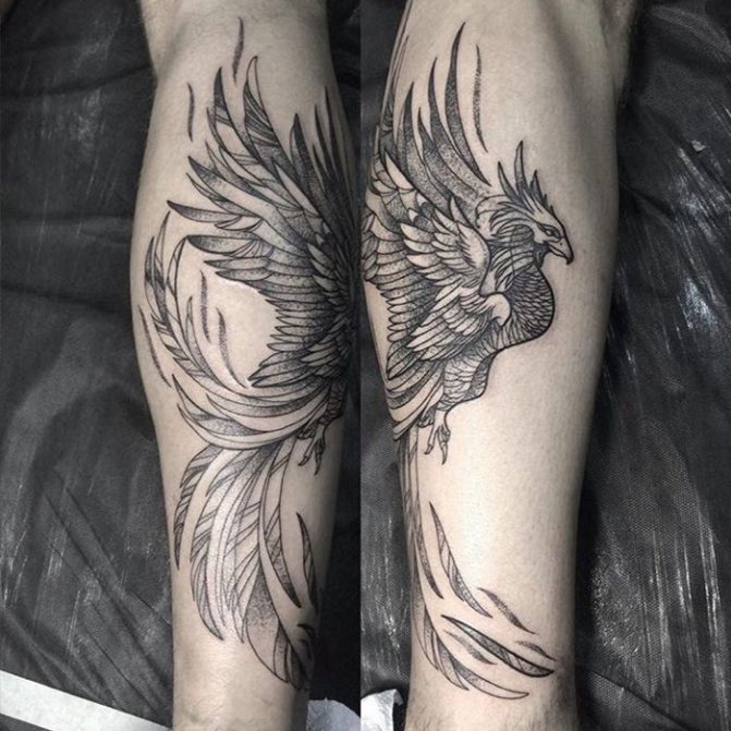 Firebird tattoo on girls arm