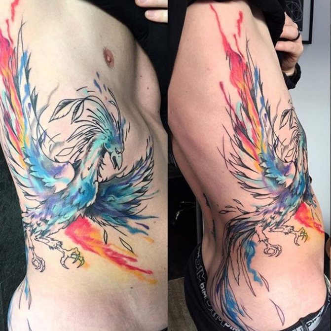 tattoo male hot bird in color male tattoo