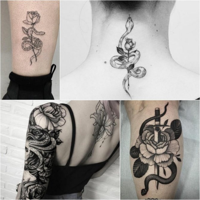 Tattoo snake - Tattoo Snake and Rose - Snake Tattoo