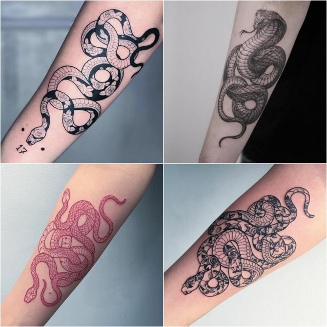 Tattoo snake - Tattoo snake on my arm - Tattoo snake on my arm
