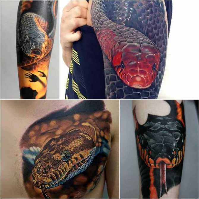 Snake Tattoo - Realism Snake Tattoo - Realism Snake Tattoo