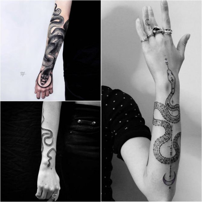 Tattoo snake - snake tattoo - Tattoo snake around your arm
