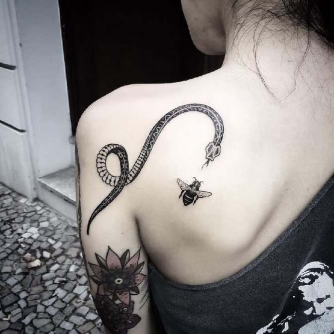 Tattoo Snake - Tattoo Snake - Meaning of snake tattoo