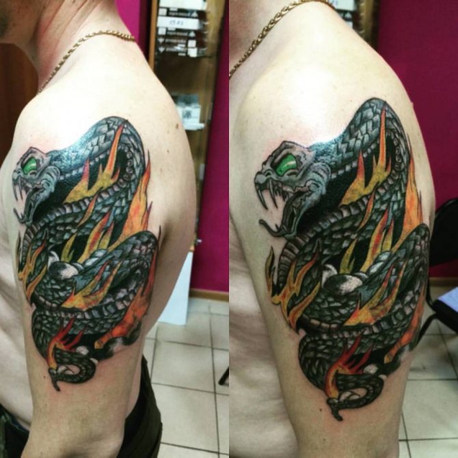Tattoo: snake on fire