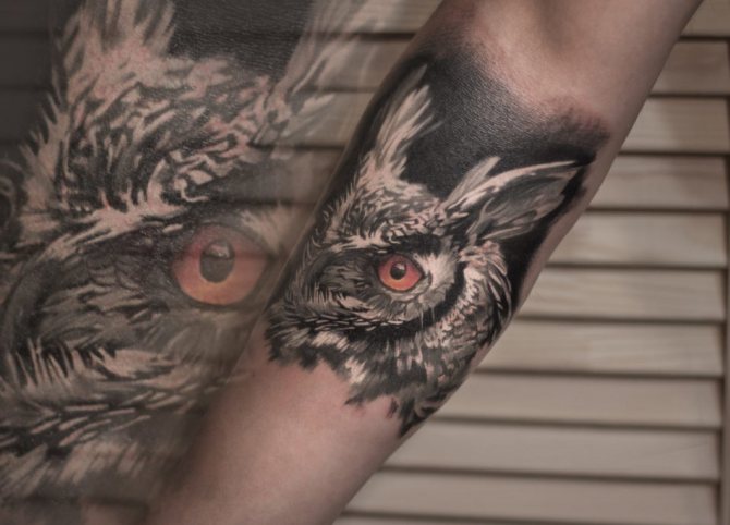 Owl tattoo: realistic style