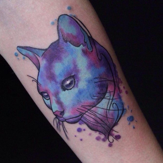Tattoo of a cat in style - watercolor