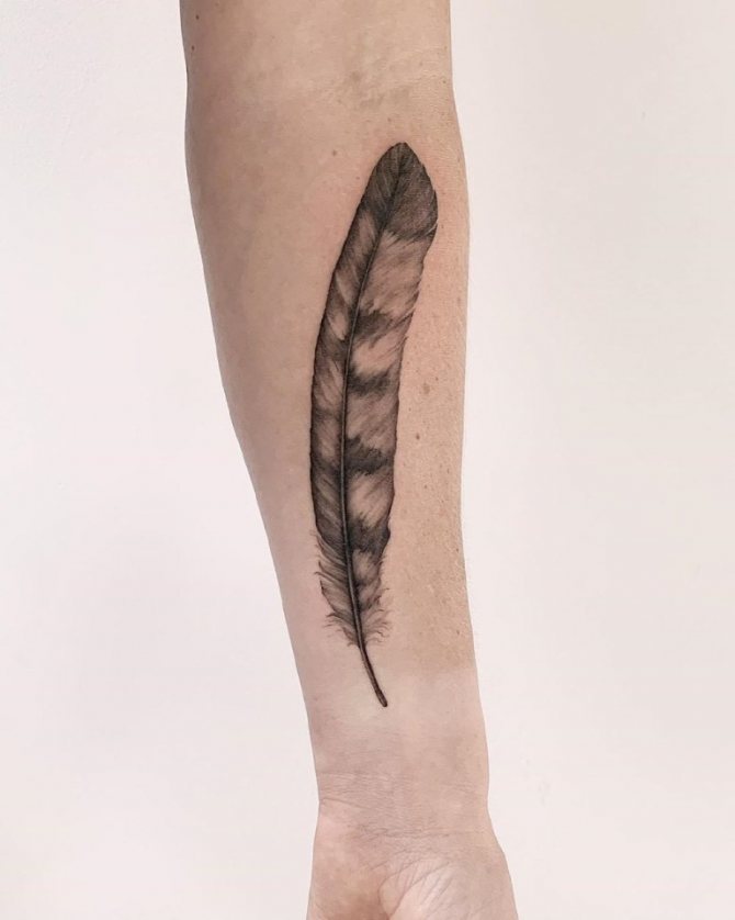 Tattoo of a feather on his arm