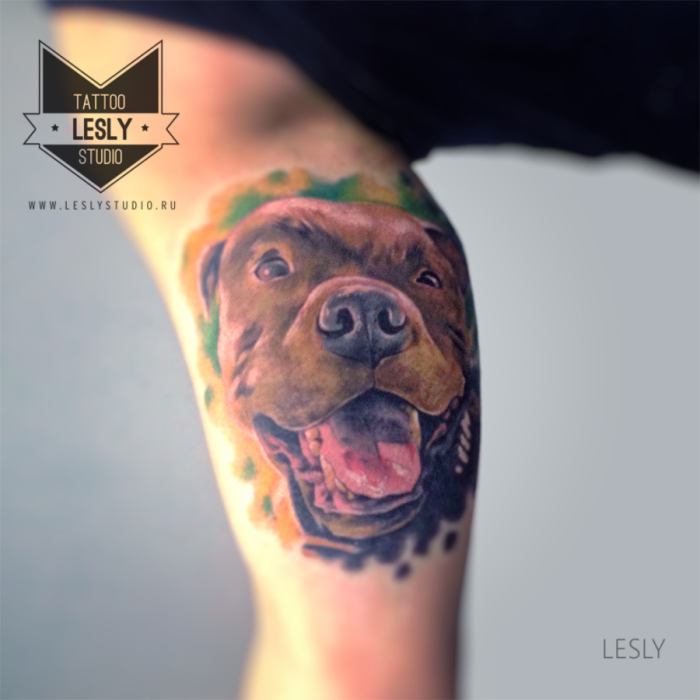 colored pit bull realism biceps tattoo