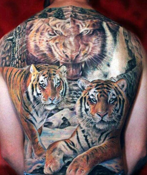 Tattoo of a tiger on his back