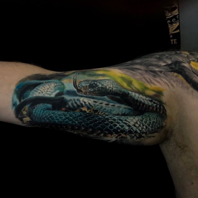 cobra tattoos