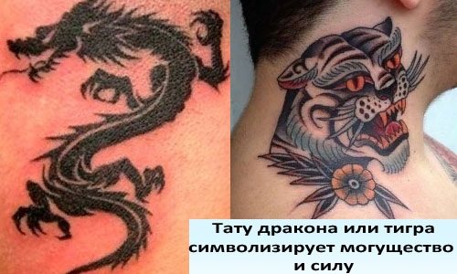 Tattoos on the neck for men. Photos, ideas, sketches, drawings, cool, beautiful tattoos, inscriptions