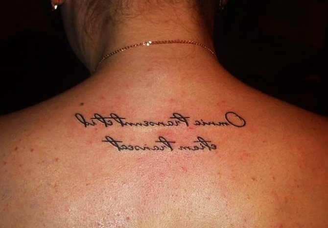 All things pass and it will pass in the Latin tattoo. What does it mean.