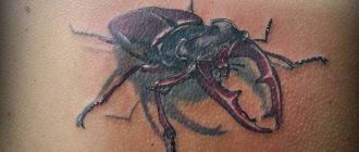 Beetle tattoo worn by thieves