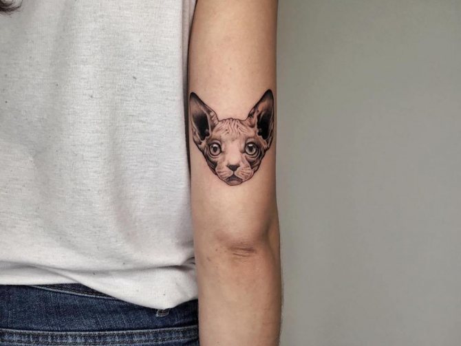 Tattoo meaning of cat