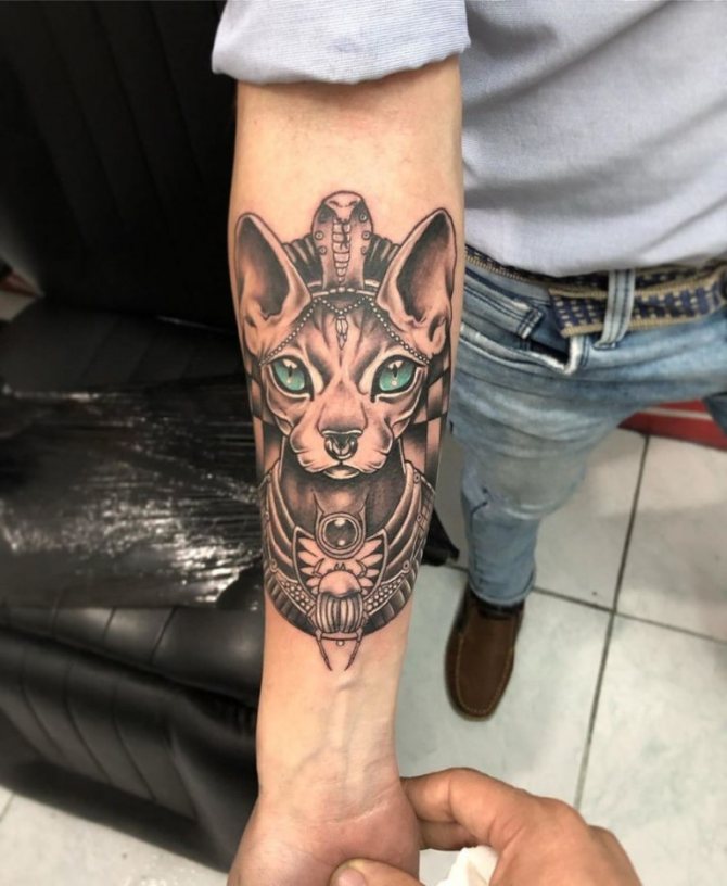 tattoo meaning of a cat