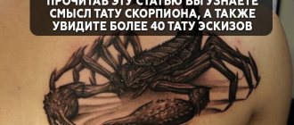 Tattoo meaning of a scorpion